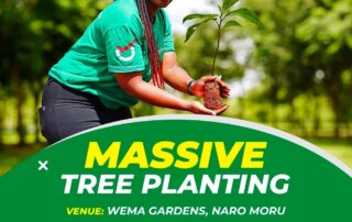 Optiven Massive Tree planting in Wema Gardens