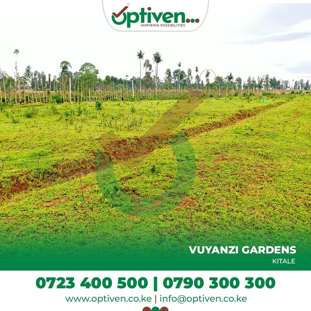 Vuyanzi Gardens: Value Added Plots for sale in Kitale